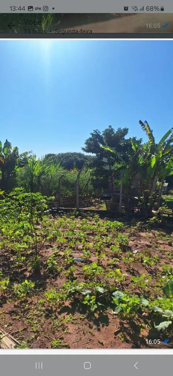 Terreno 