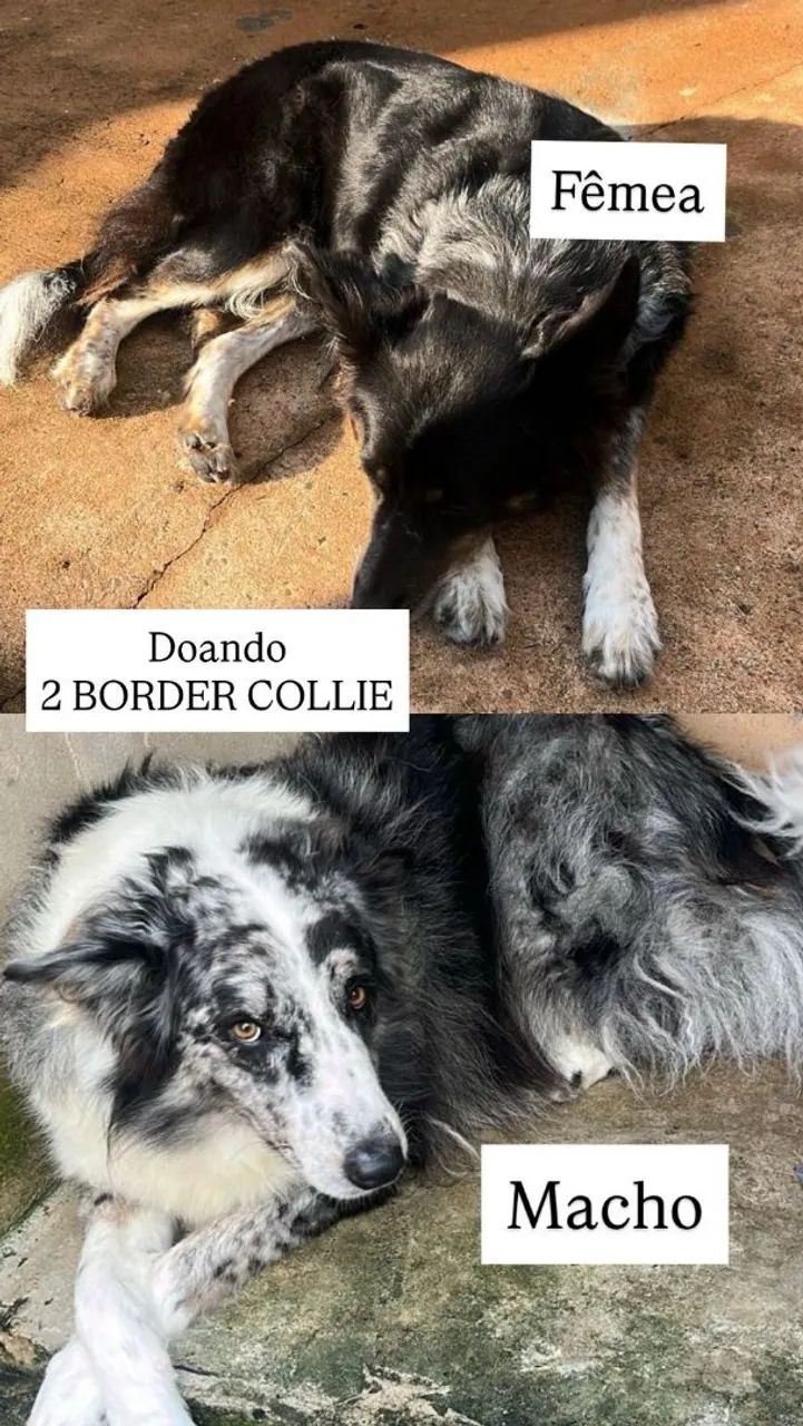Doação . 
