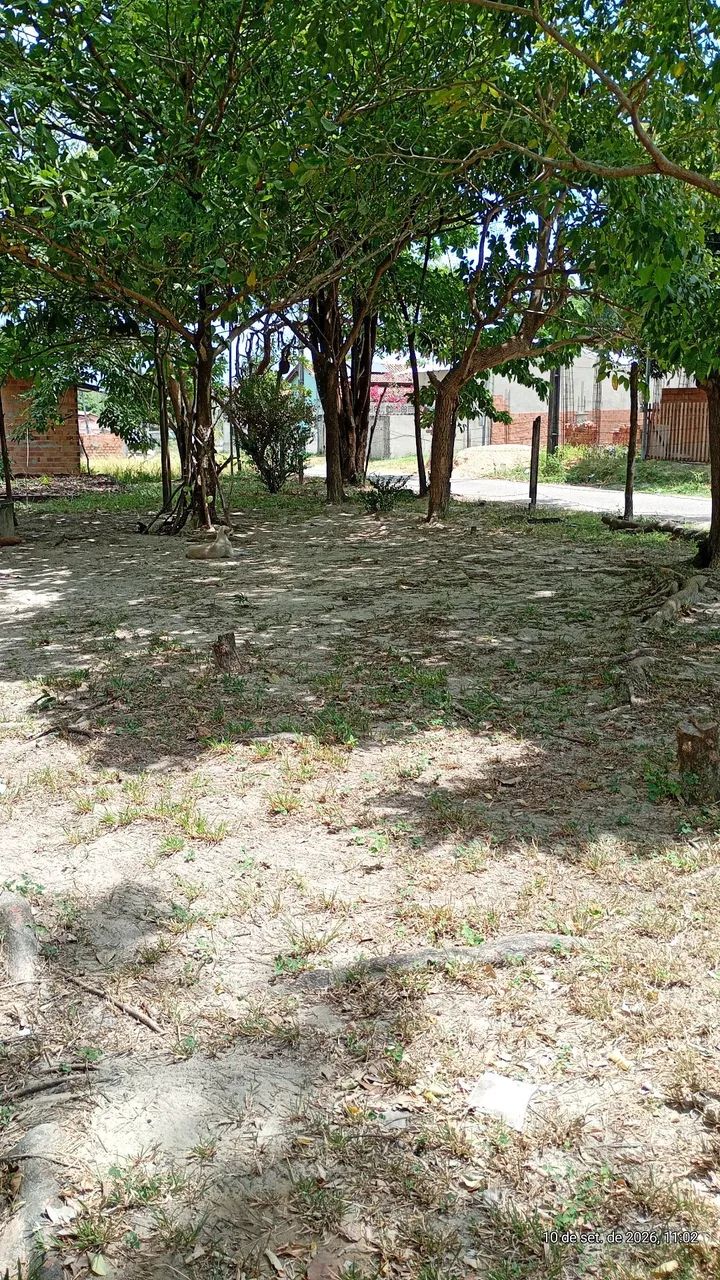 Casa  - Foto 5