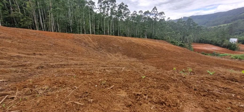 21.000 m2 em Treviso com vista da serra e matrícula - 100% regularizado - Aceita Permutas - Foto 5