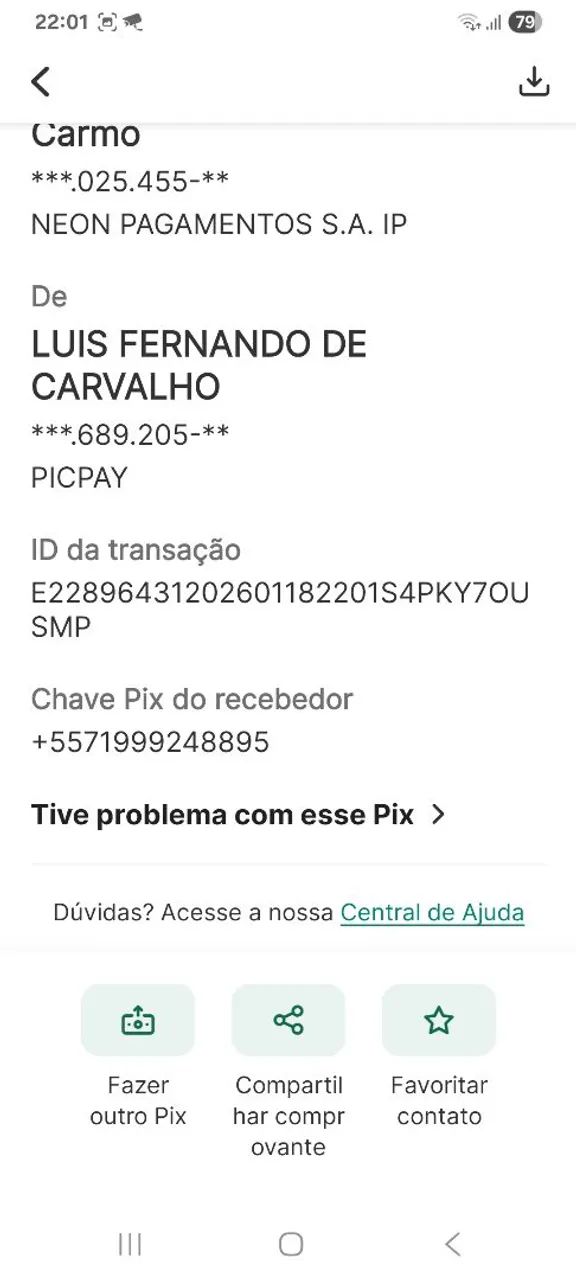Doação pit bull 