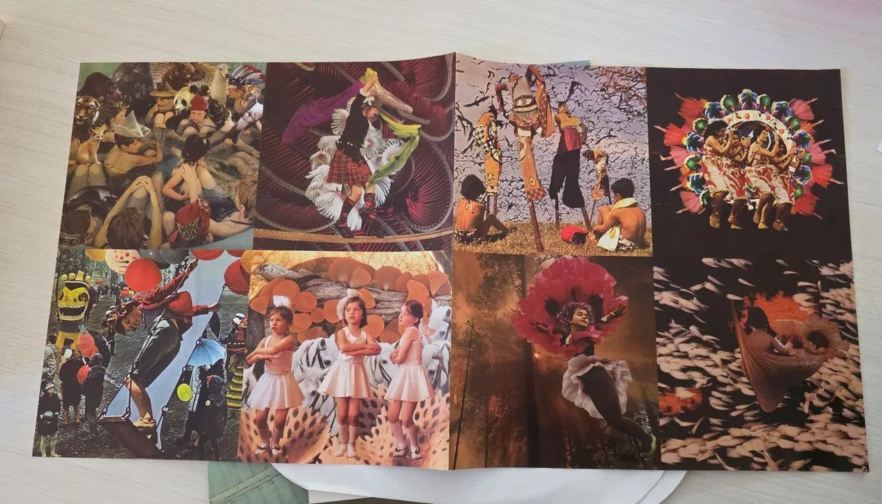Vinil Duplo Panda Bear - Person Pitch - Foto 4