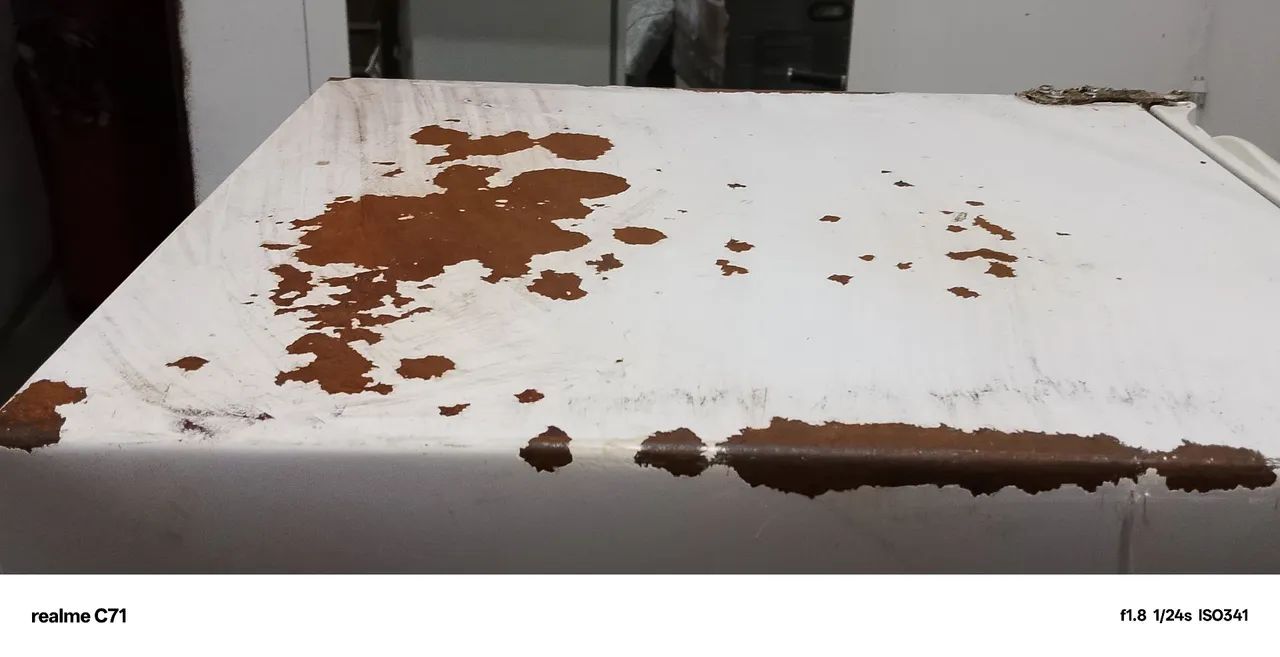 Pintura de Geladeira e Máquina de lavar Roupas  - Foto 3