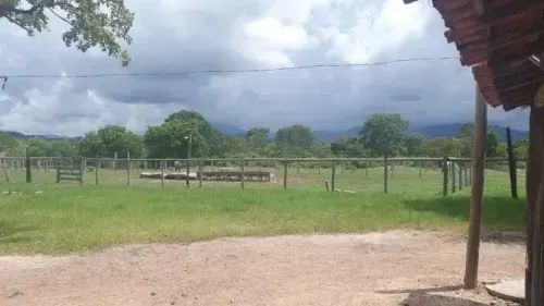 Fazenda - Cavalcante (GO) - Foto 5