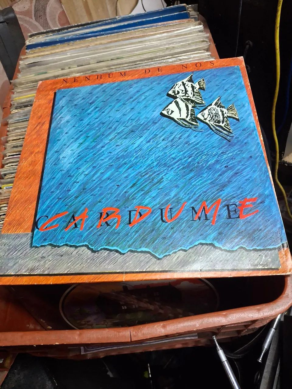 Discos de vinil raros  - Foto 4