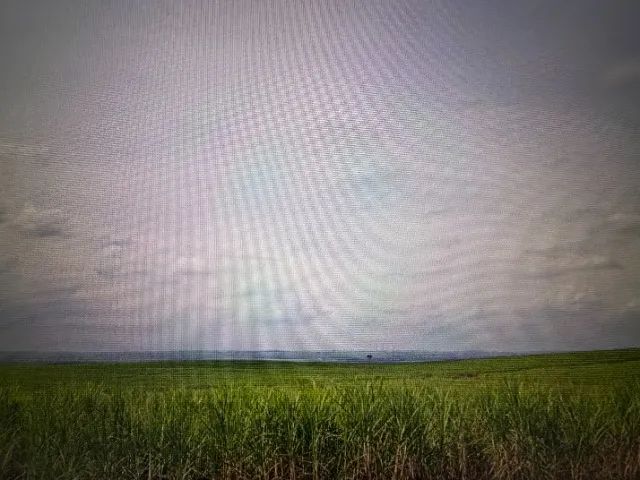 Sítio à venda em Paranacity/Pr (16,61 Alqueires - 40,2155 ha)  - Foto 5