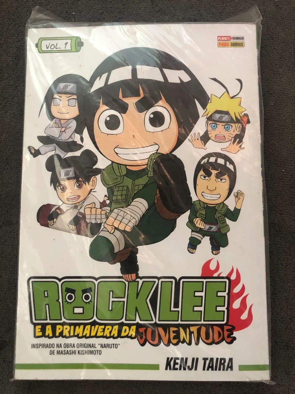 Manga rock lee