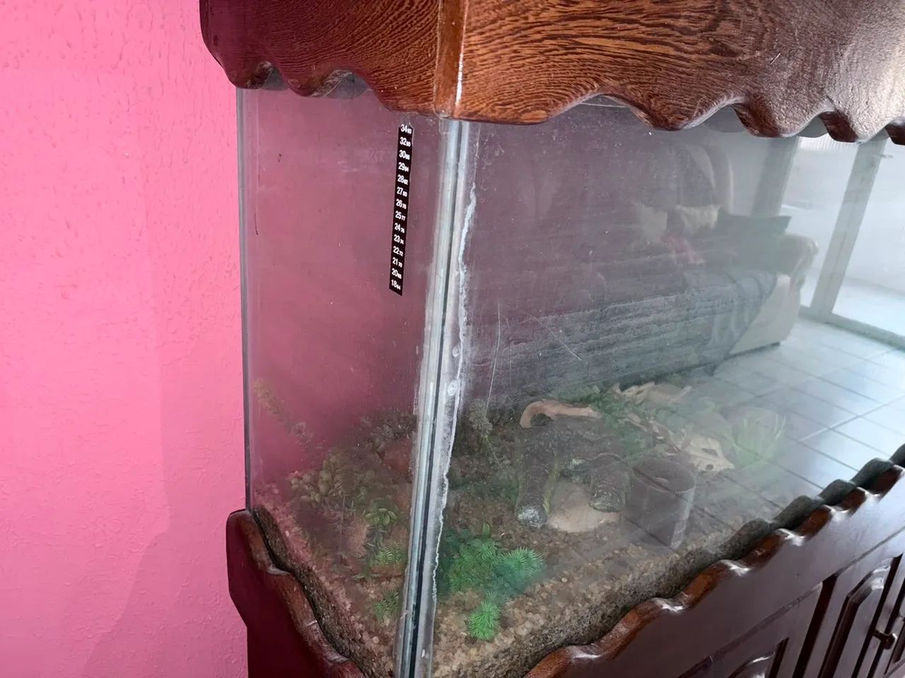 Vendo ou troco aquario grande completo - Foto 6