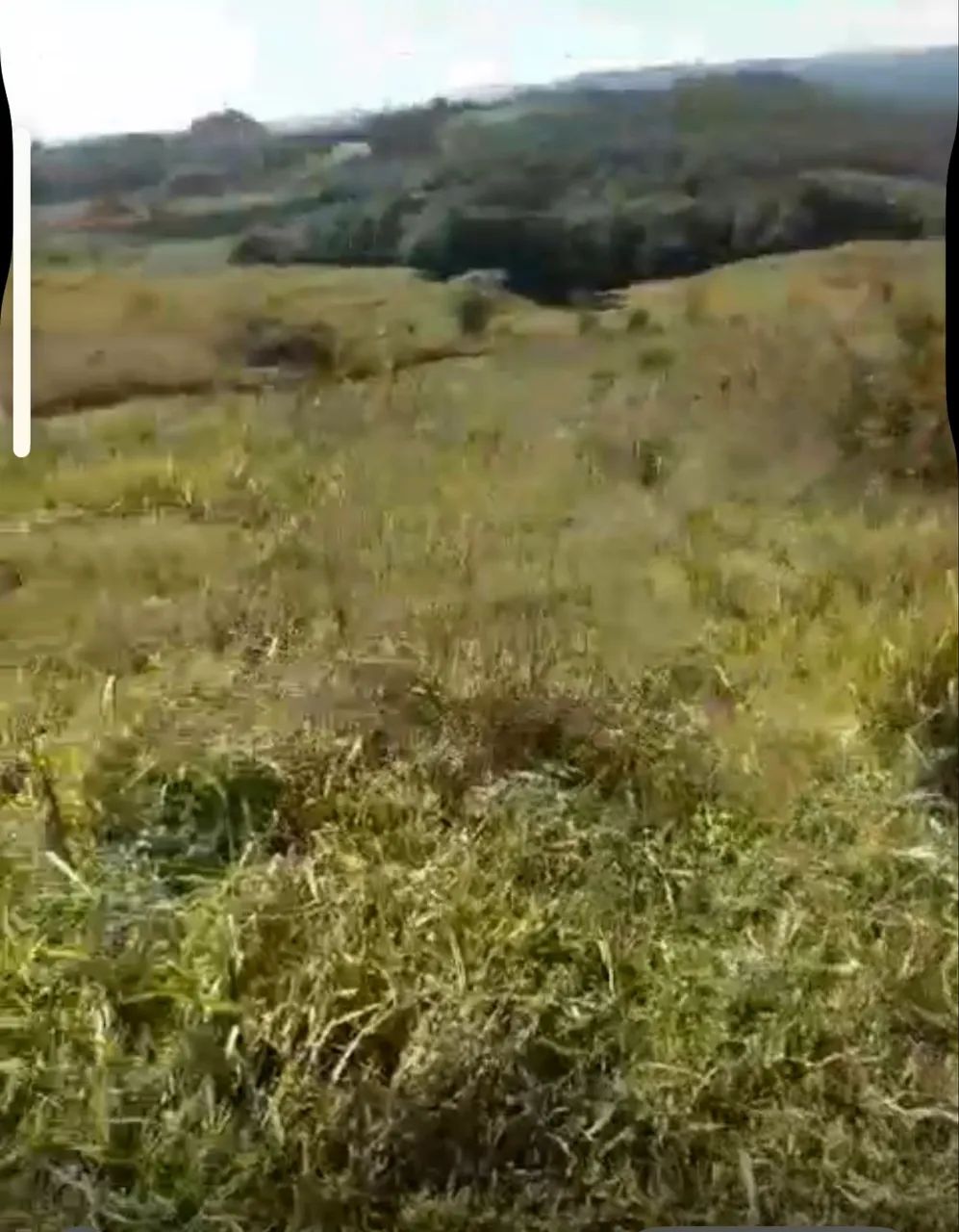Vendo terreno rural em Campos Novos SC - Foto 2