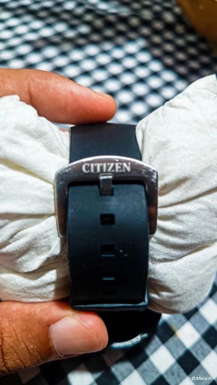 Citizen Baleia  - Foto 3
