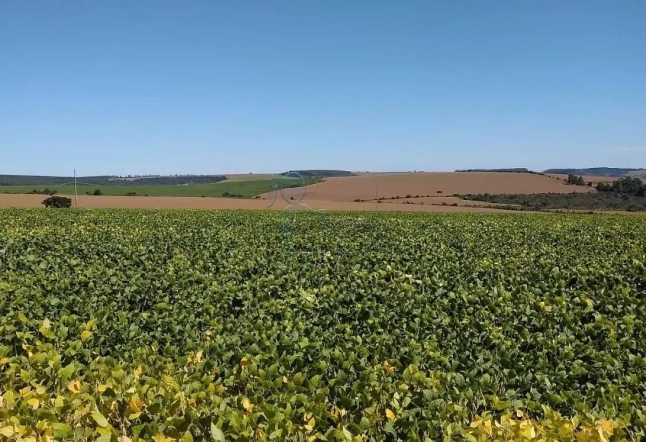 Rural/Fazenda - Misto - Dupla Aptidão - Triangulo Mineiro - Foto 3