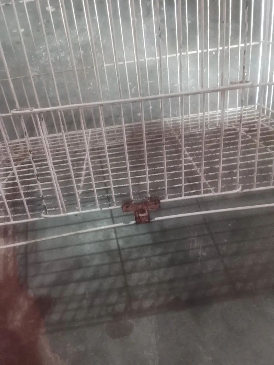 Gaiola de ferro em ótimo estado de conservação  - Foto 3