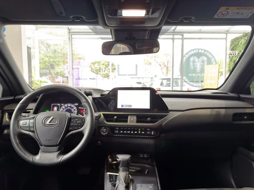 Lexus UX-250h Dynamic 2.0 16V Aut.(hybrid), foto 13 de 19