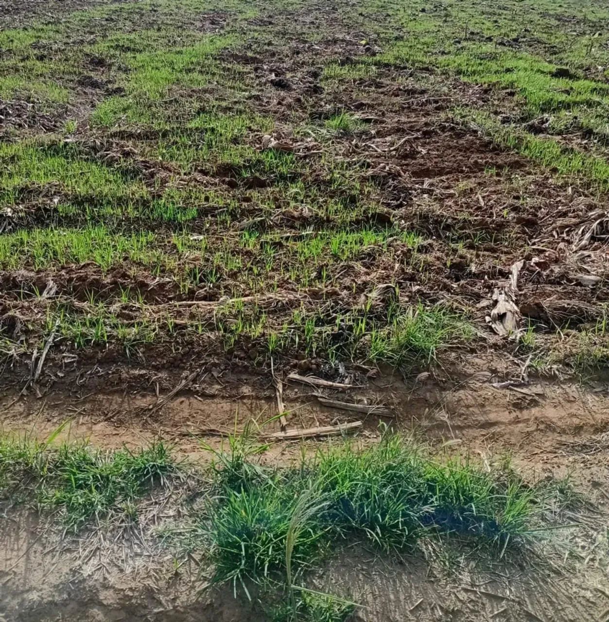 Vendo oportunidade em linhares - Foto 3