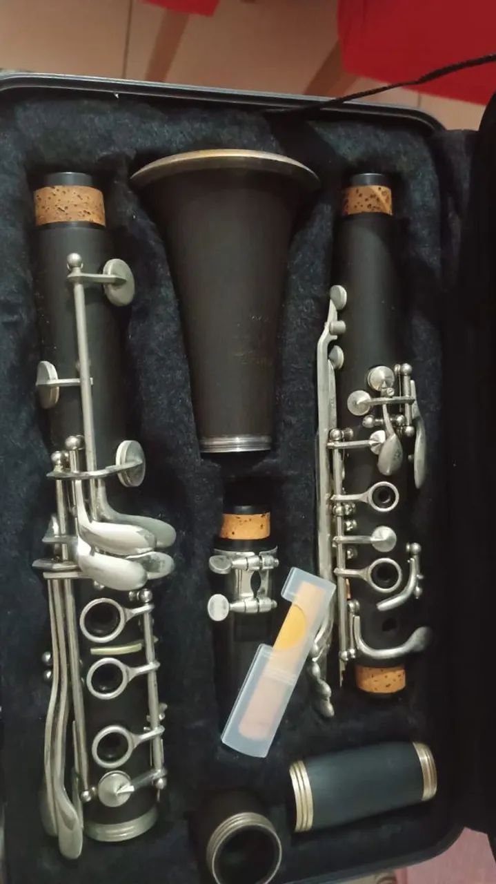 Instrumento de sopro