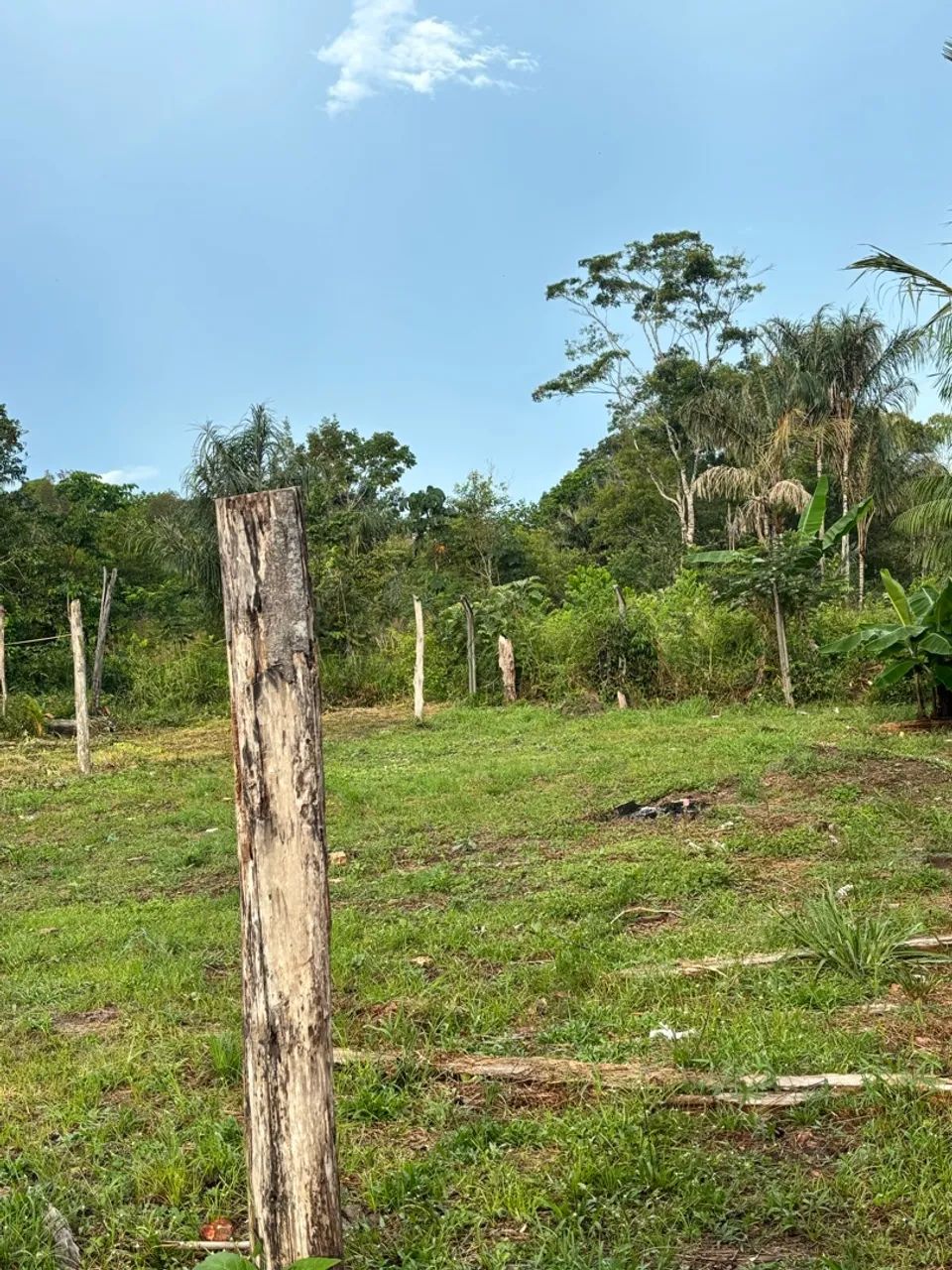 Terreno
