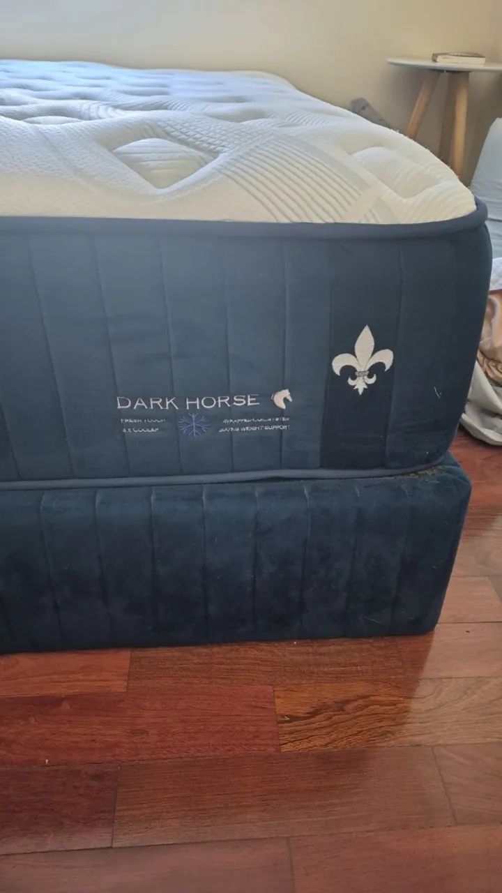 Cama Queen Dark Horse completa + base | Excelente estado | Mudança - Foto 3