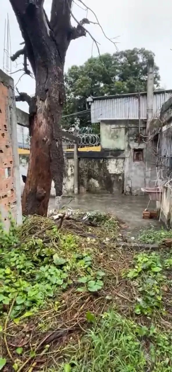 Vendo esse terreno  - Foto 5