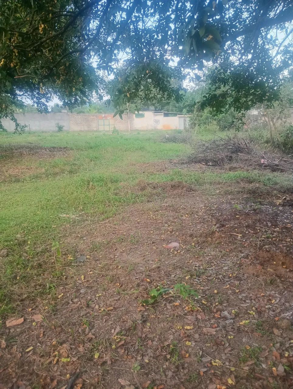 Terreno - Foto 2