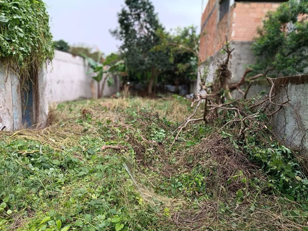 Terreno Piabetá Próximo ao centro  - Foto 3
