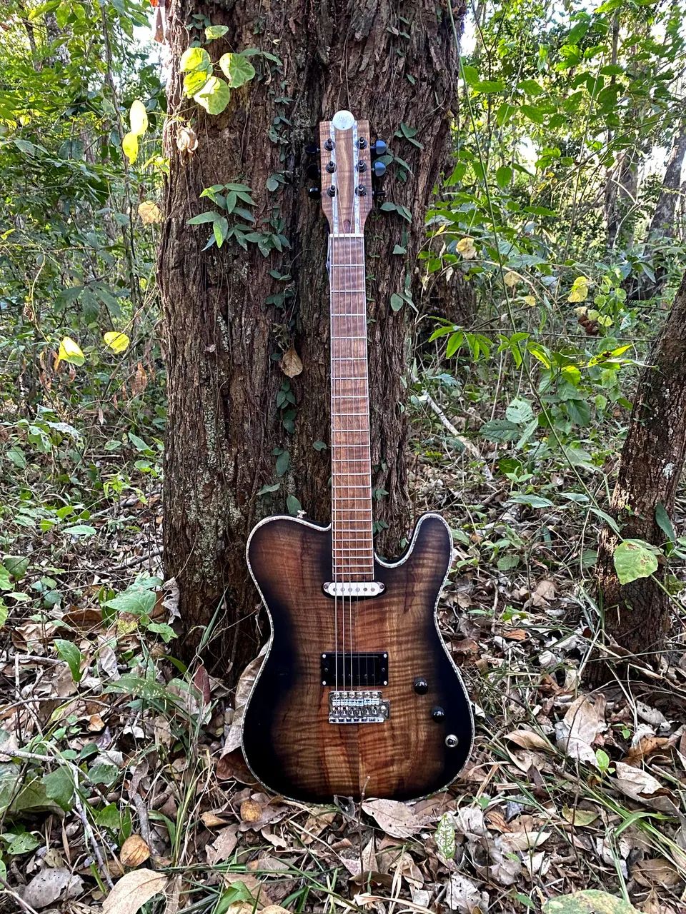guitarra telecaster
