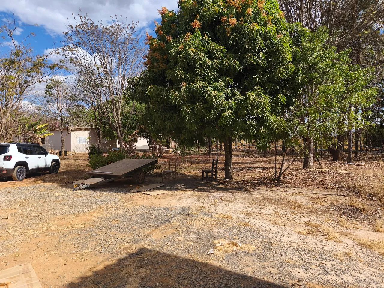 Lote de chácara Planaltina  - Foto 10