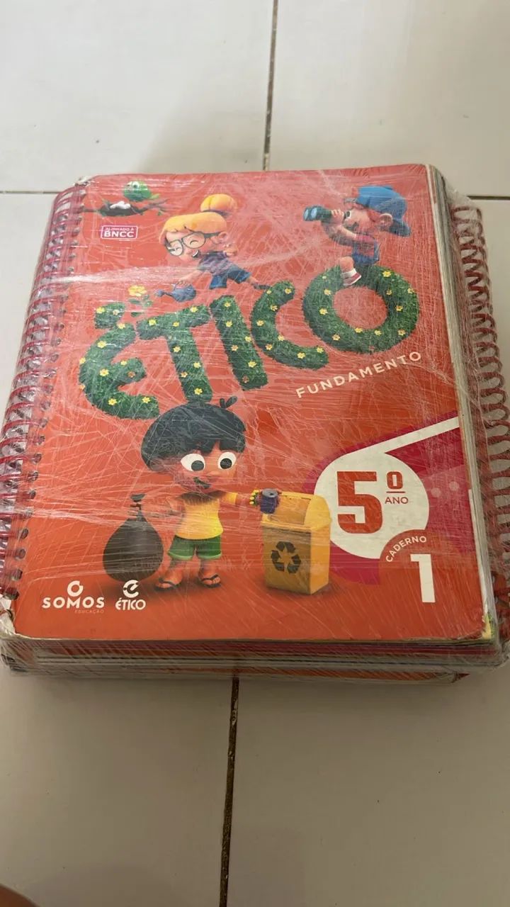 Livros sistema ético 5 ano