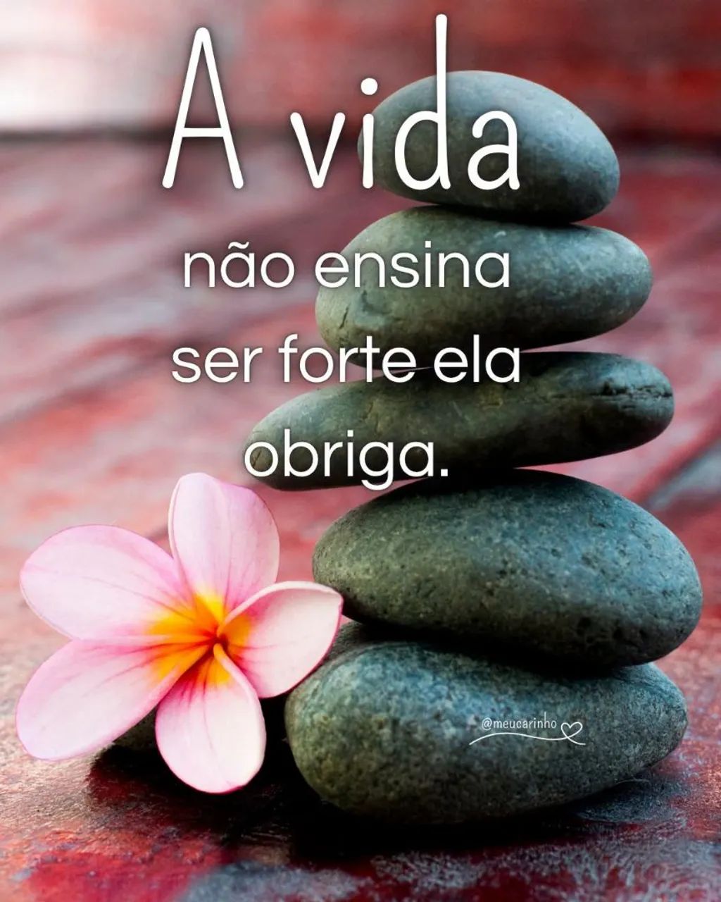 Diarista e folguista 