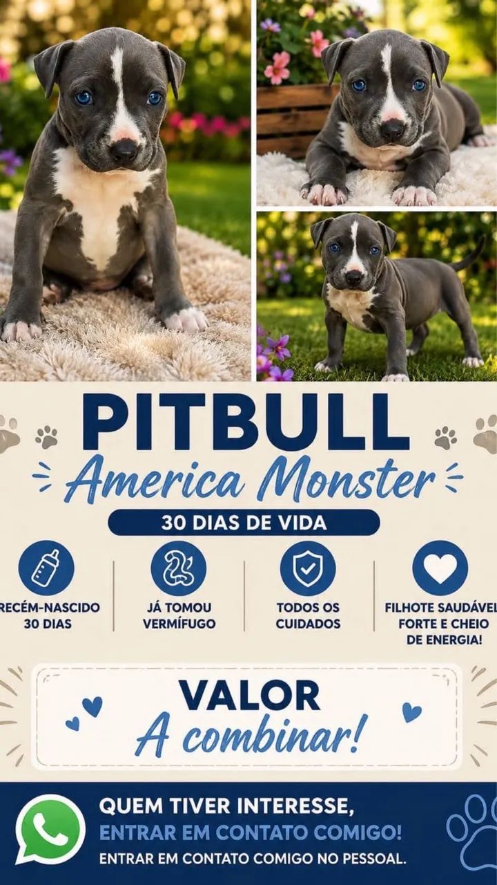 Pitmonster