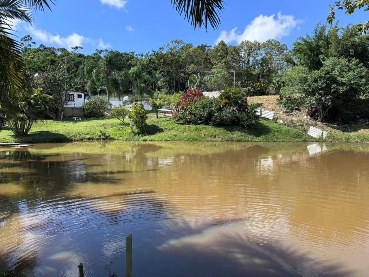 Sítio | Venda | Morro Alto - Foto 5