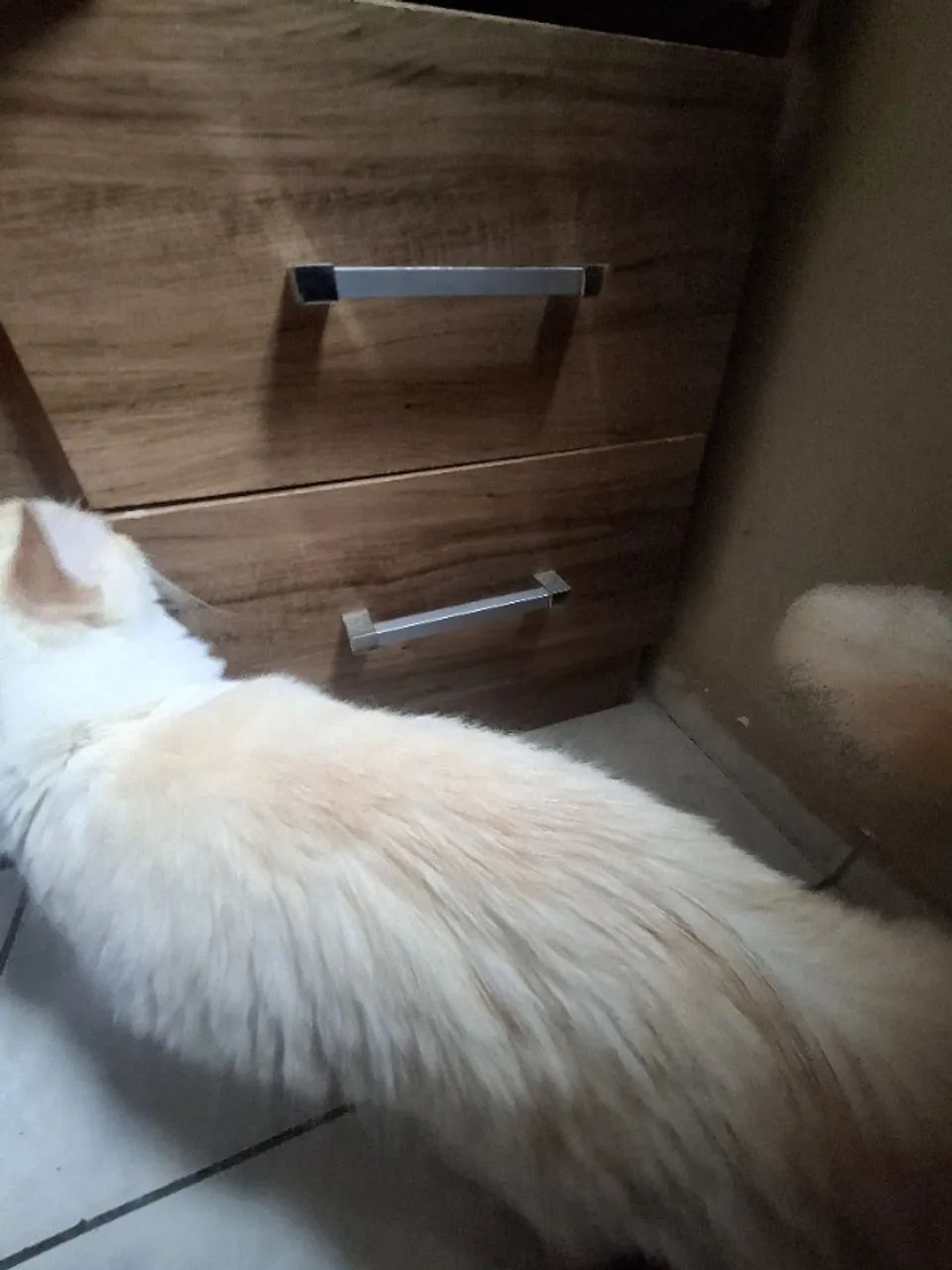 Beliche multifuncional de solteiro com cama auxiliar + 2 colchão de solteiro  - Foto 4