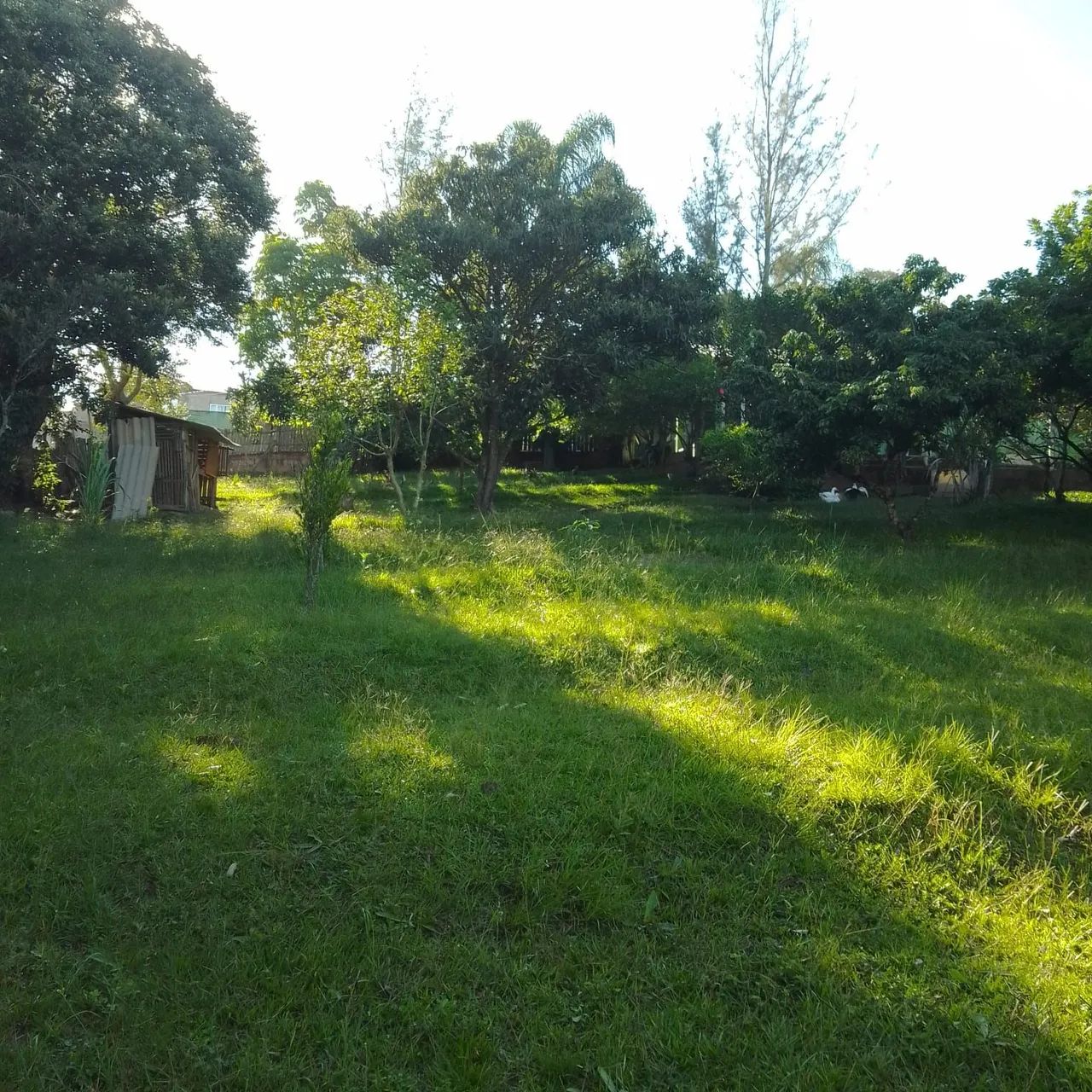 VENDO CHACARA EM PILAR DO SUL-SP - Foto 3