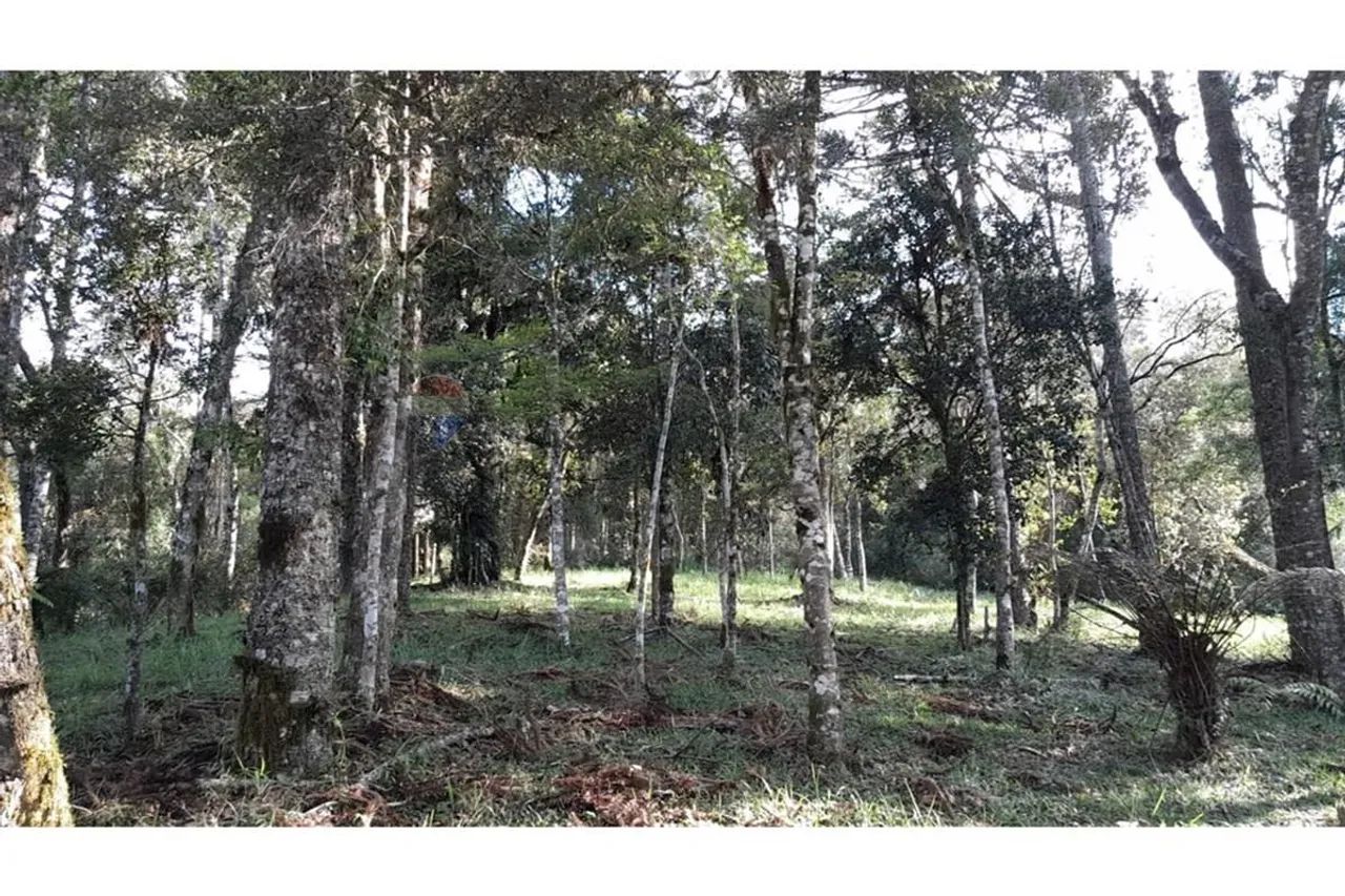 Terreno no Centro de Bom Retiro - Imperdível!