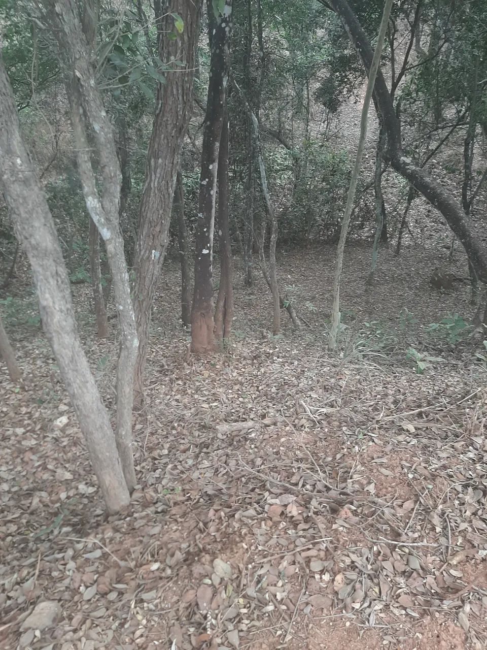 Terreno em Para de Minas - Foto 2