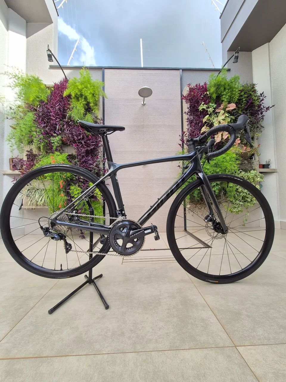 Speed Giant TCR
