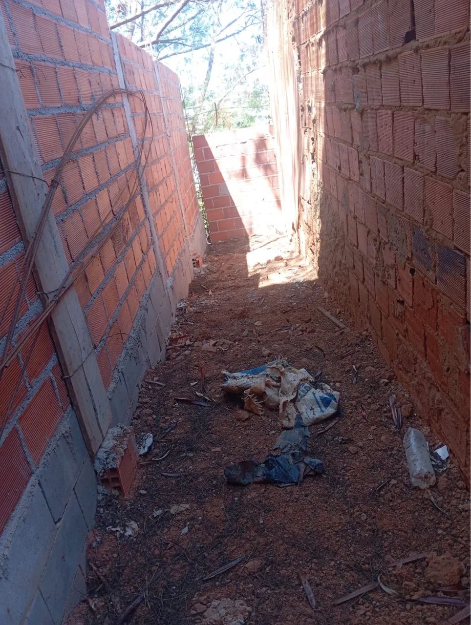 LOTE  - Foto 4