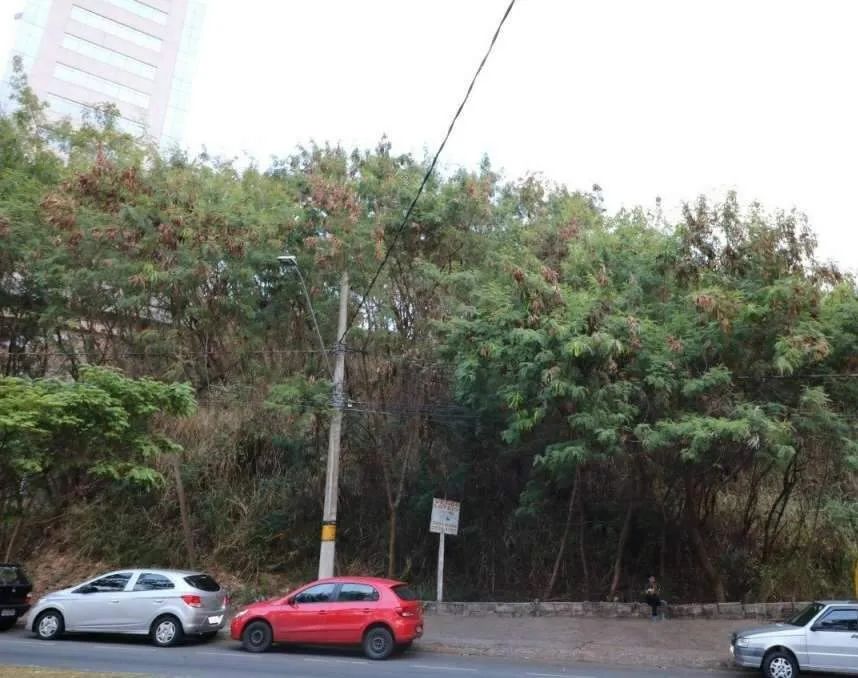 Lote no Estoril