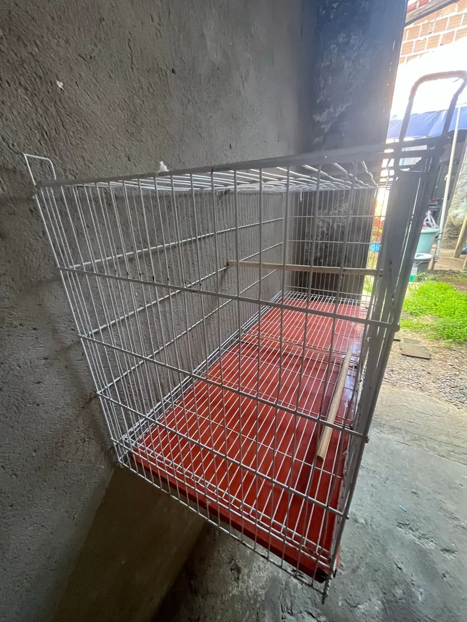Gaiola para Psitac ídeos - Foto 2