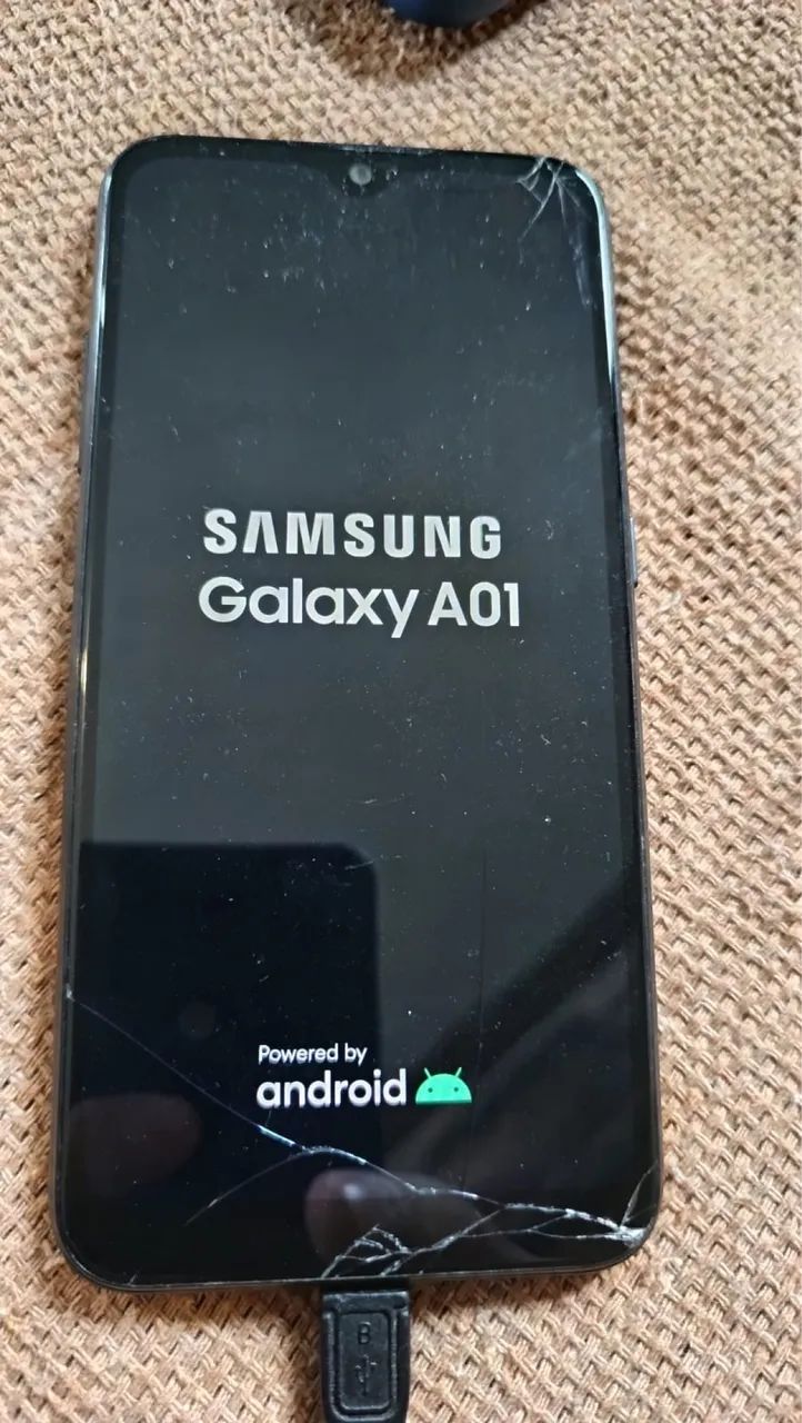 A01 - Foto 2