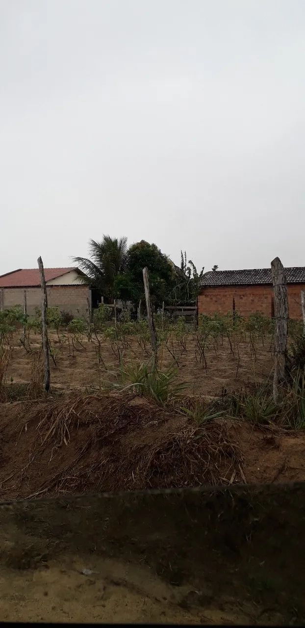 Terreno em Taquarana - Foto 2