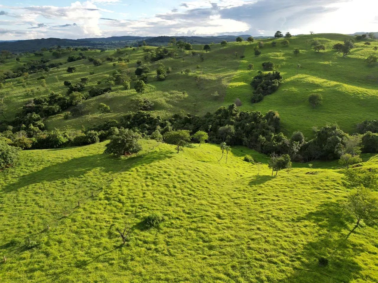Fazenda Itapaci - Go - Foto 2
