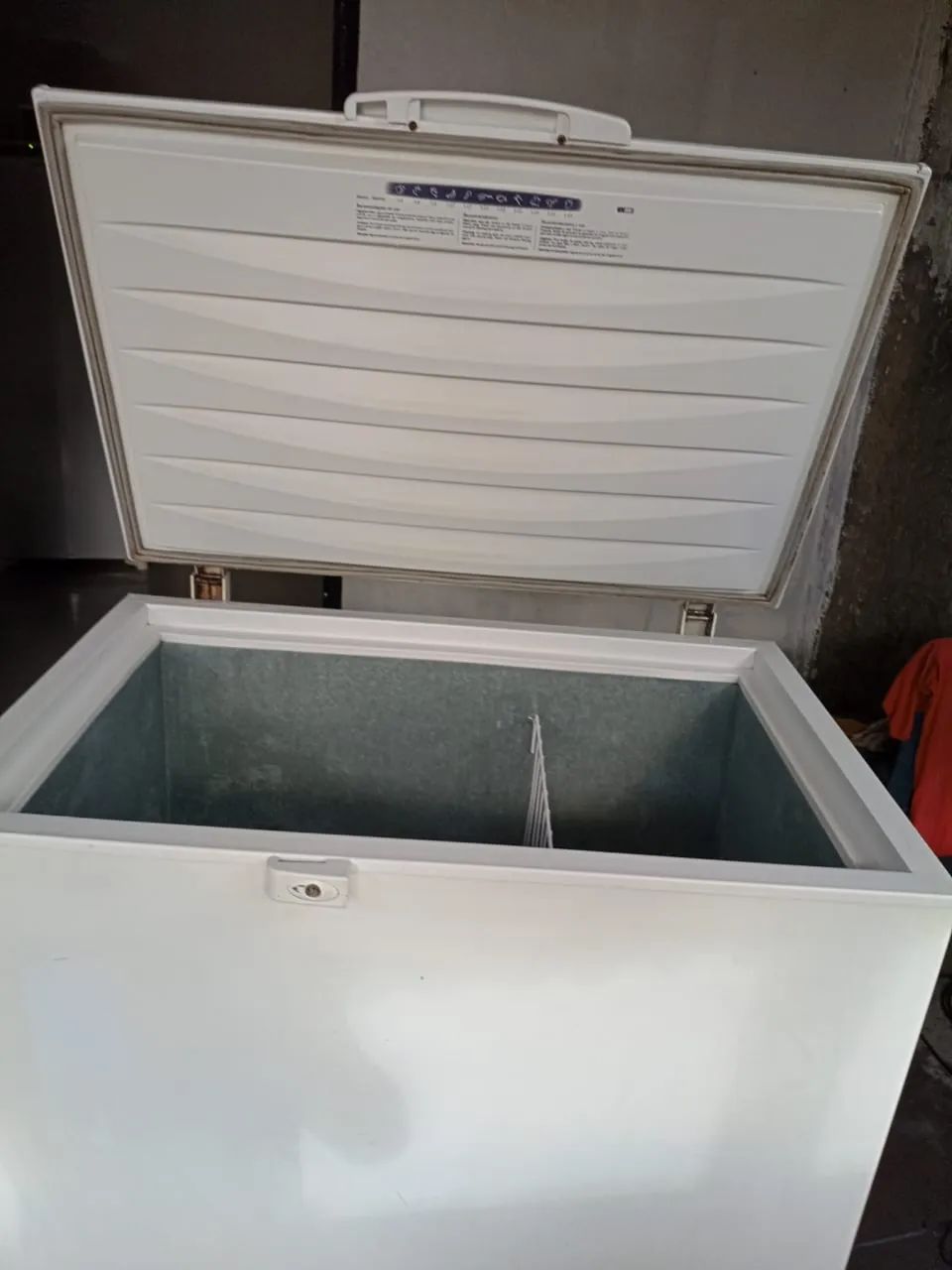 Freezer Electrolux 