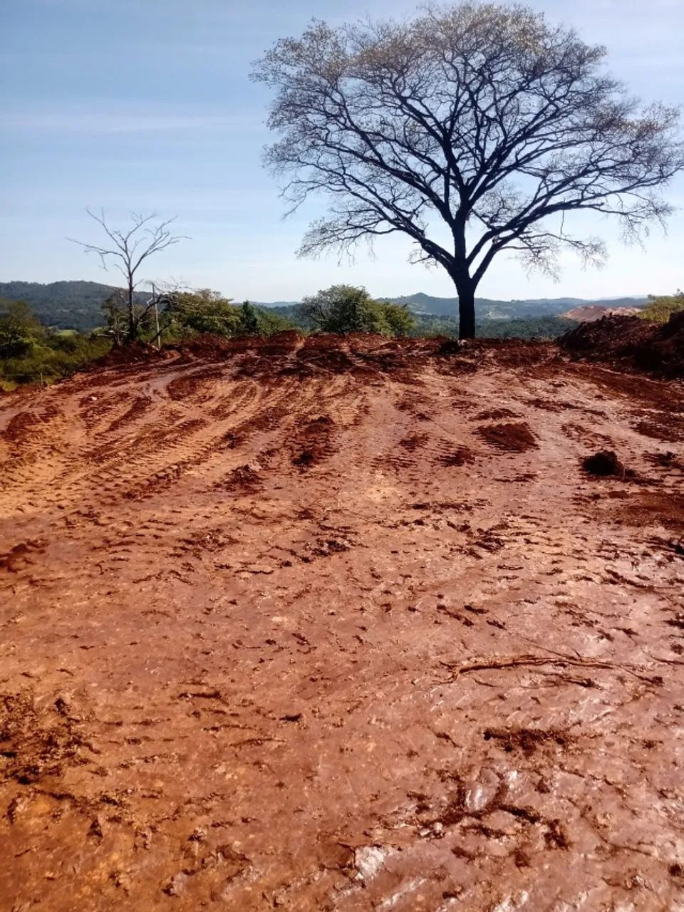 Chácara condomínio fechado em Mateus Leme  - Foto 4