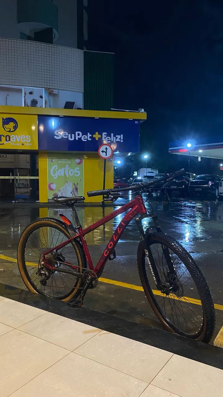 Bicicleta colli moscow ARO 29