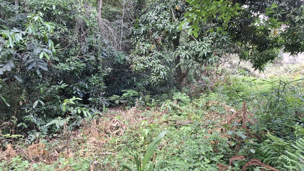 Terreno 9.000m²,Itajubá Mg - Foto 4