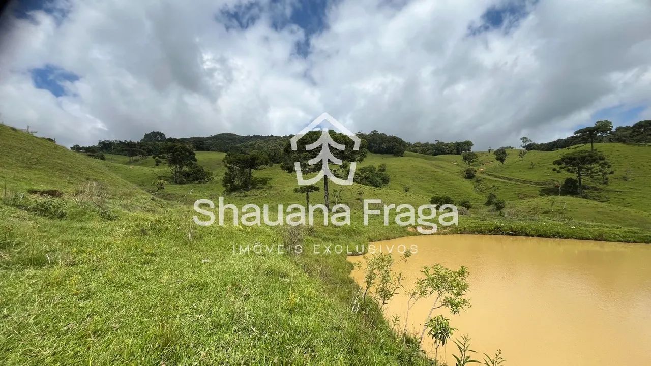 Rancho Queimado/SC - 6 Hectares com Lagoa e Vista em Taquaras - Foto 3