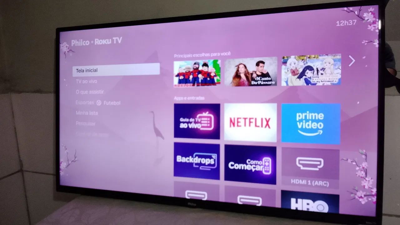Televisão  - Foto 2