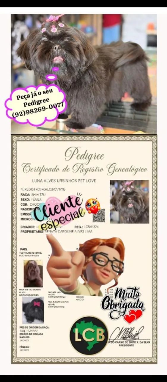 Peça já o seu Pedigree  - Foto 5