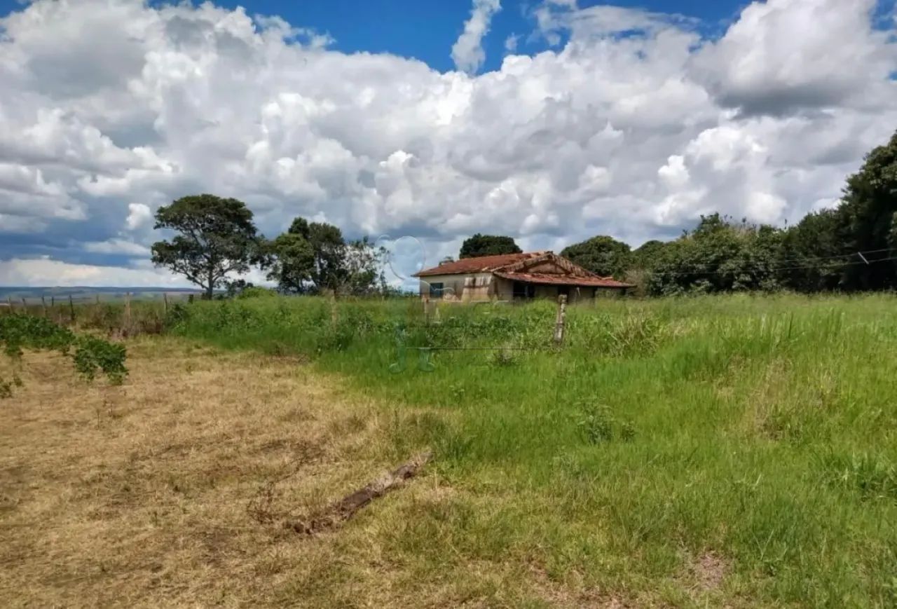 Rural/Fazenda - Misto - Dupla Aptidão - Triangulo Mineiro