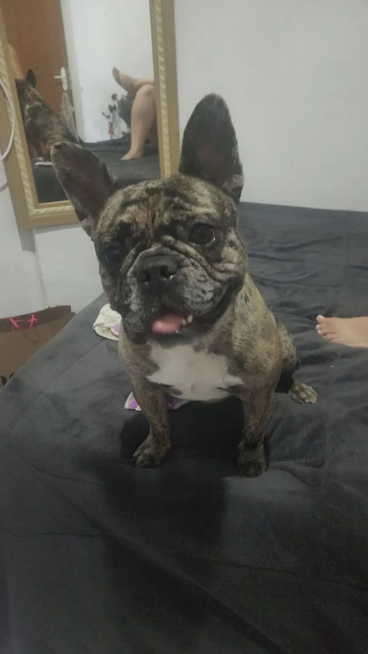 Procuro Namorado  - Foto 2